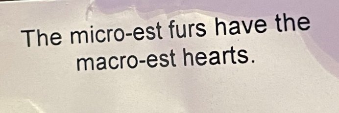 💀drayvenmf.bsky.social💀 🇨🇦🏳️‍⚧️🇬🇱 banner