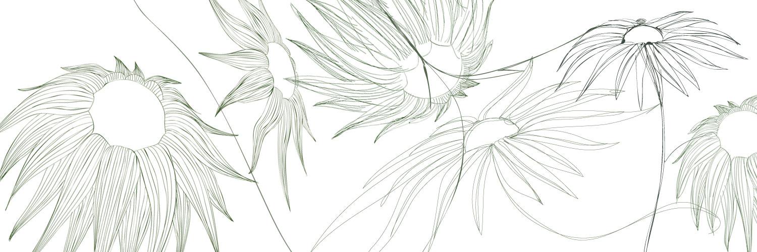 gingerevents2's profile banner image