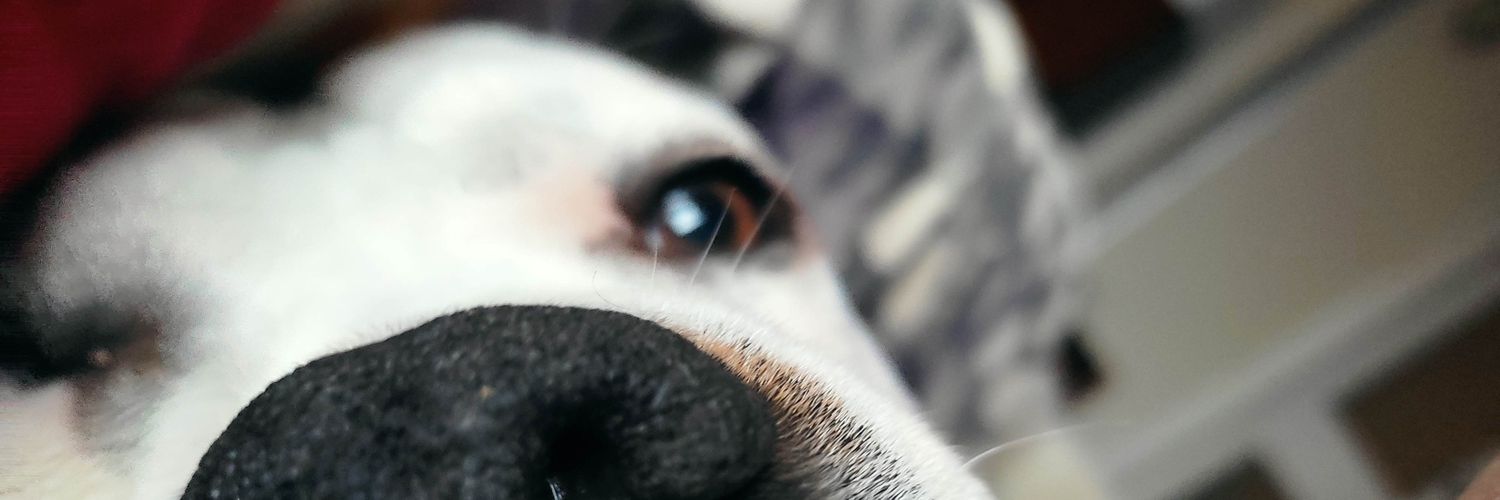 Edjukejsn's profile banner image