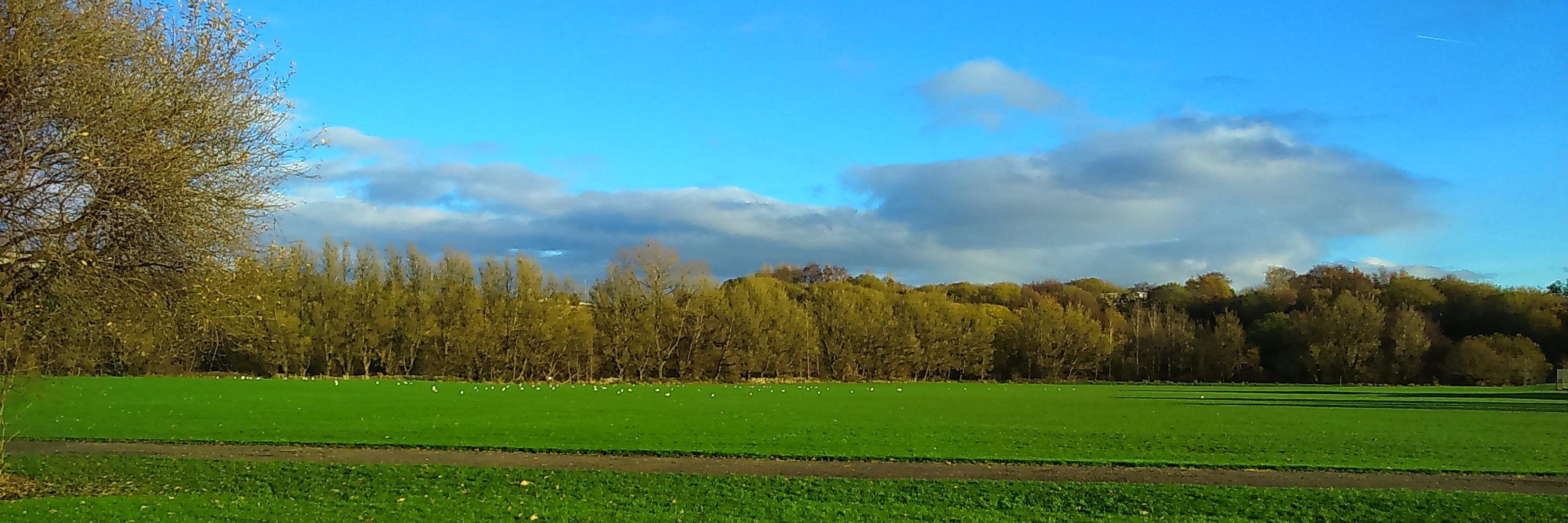 Suwen_He's profile banner image