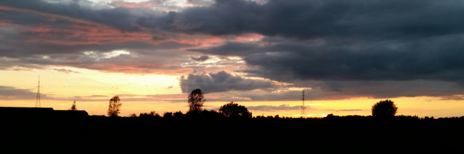 Ellen Mestdagh banner