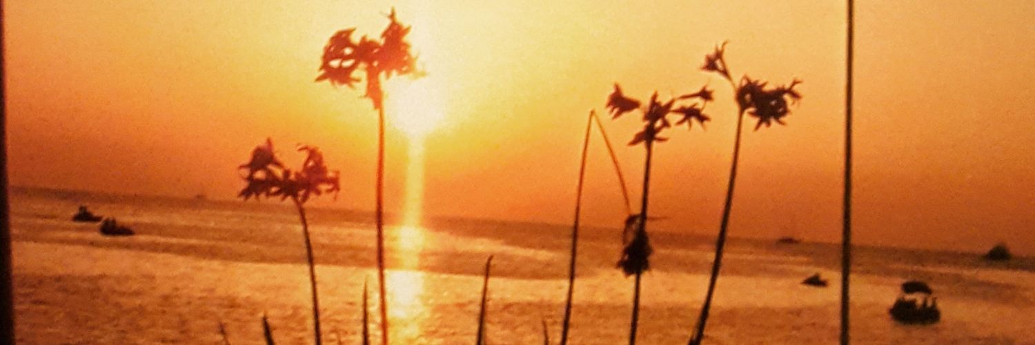 danielleboyd11's profile banner image