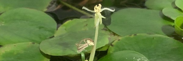 gorkemozt Profile Banner