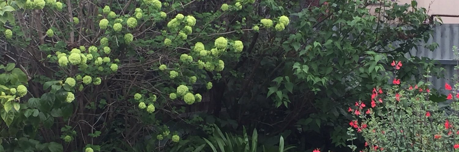 Pamela Spence banner