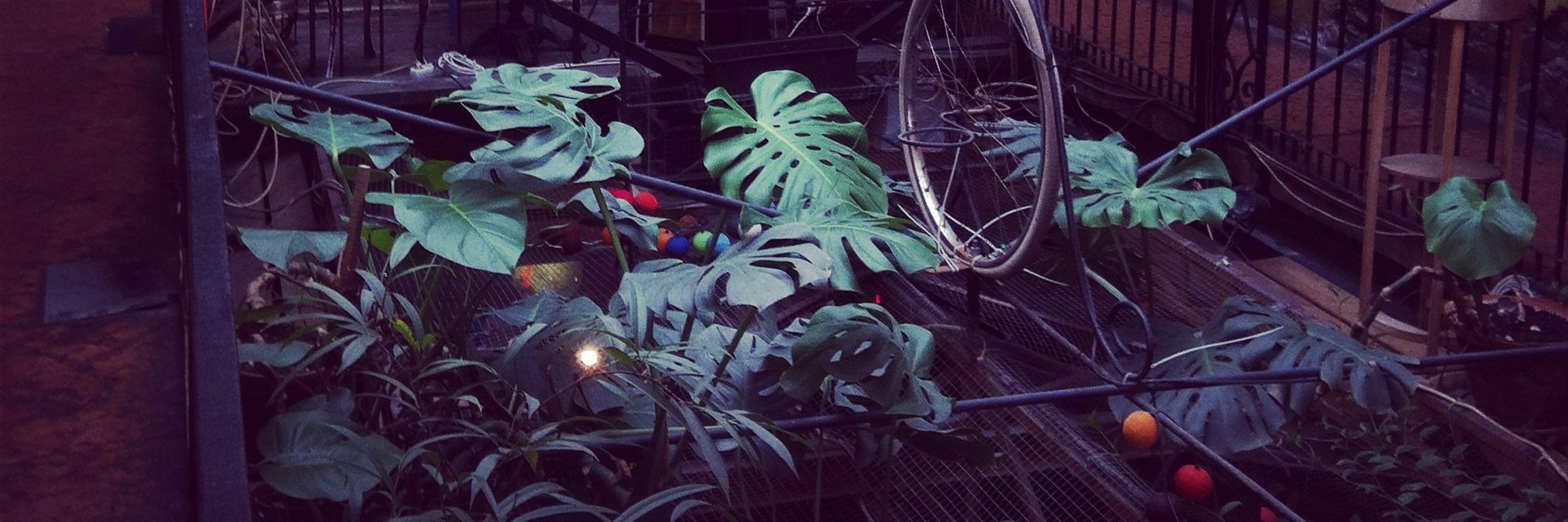 Alice Russell banner