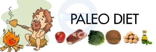 Paleo Diet Nation banner