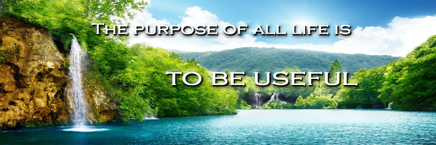 Haladi's profile banner image