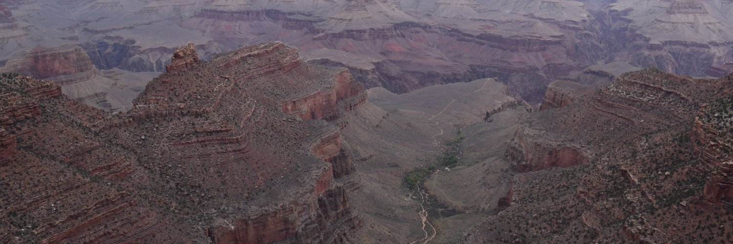 Daniel Moghimi banner