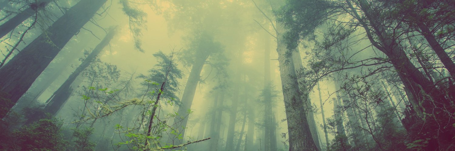 TheNewOne89's profile banner image