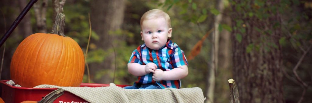 Tina Hamilton banner