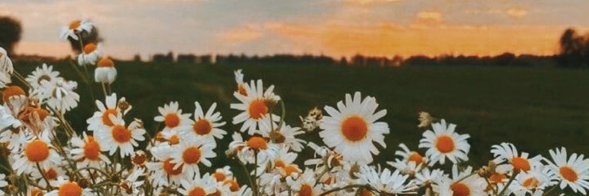 umamargarida23's profile banner image
