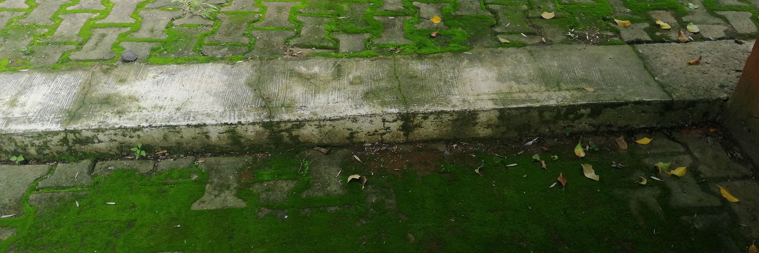 Cerillo Mezza banner