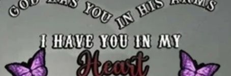 Butterflyvic's profile banner image