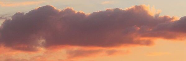 linaqln's profile banner image
