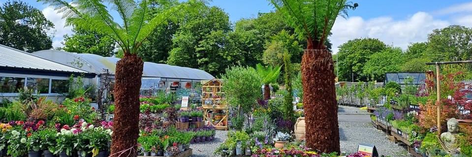 Callum Watson banner