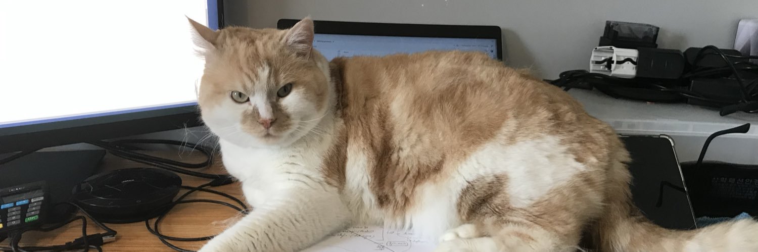 YanMitch's profile banner image