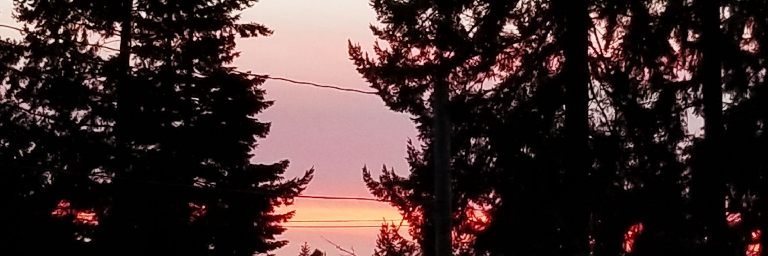 Pamela Mitchell banner