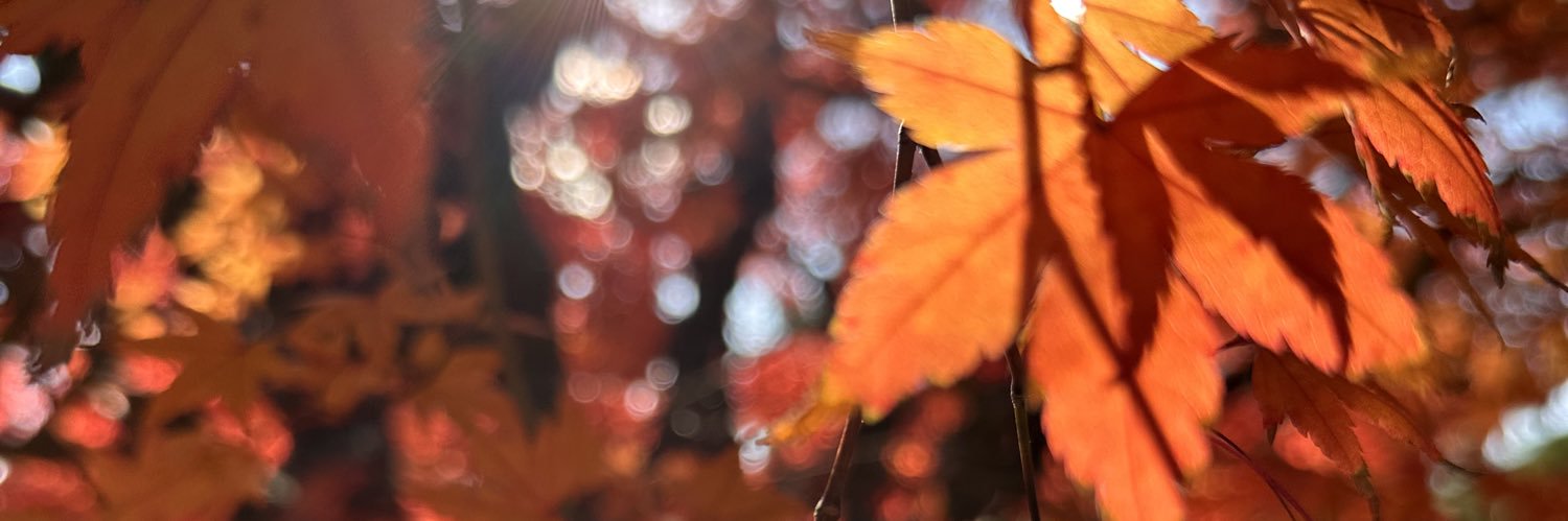 diskobox71's profile banner image