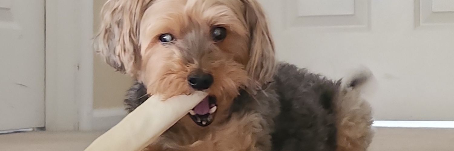 gsmizzle22's profile banner image