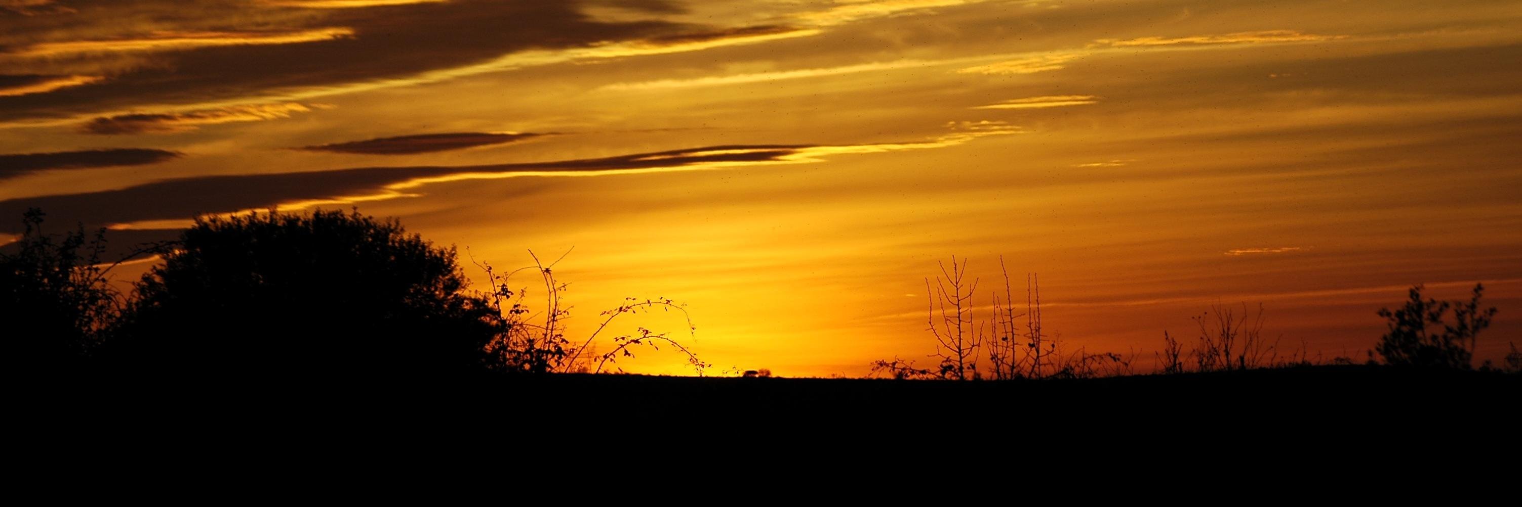 Pauu1005's profile banner image