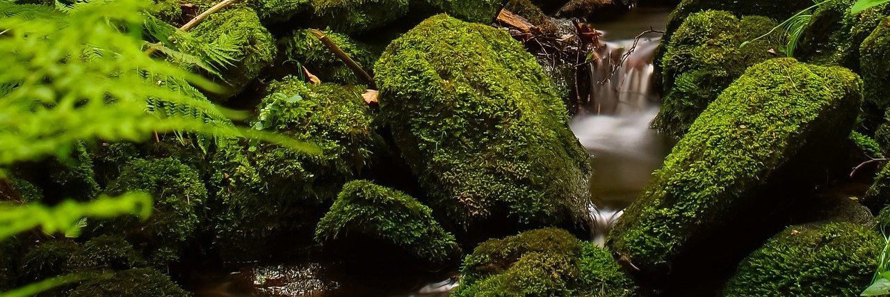 DanylouLK's profile banner image