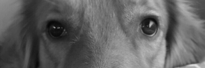 juminae's profile banner image