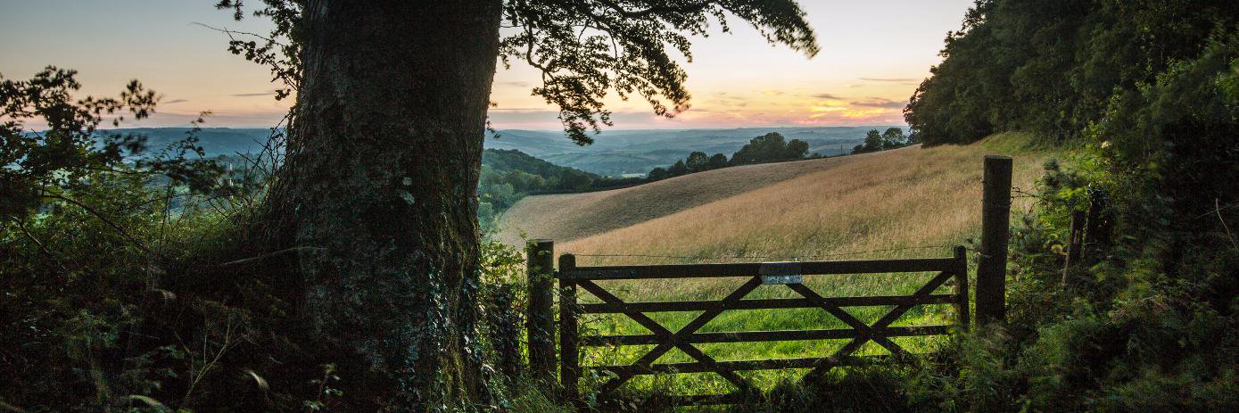 Peach_Lettings's profile banner image