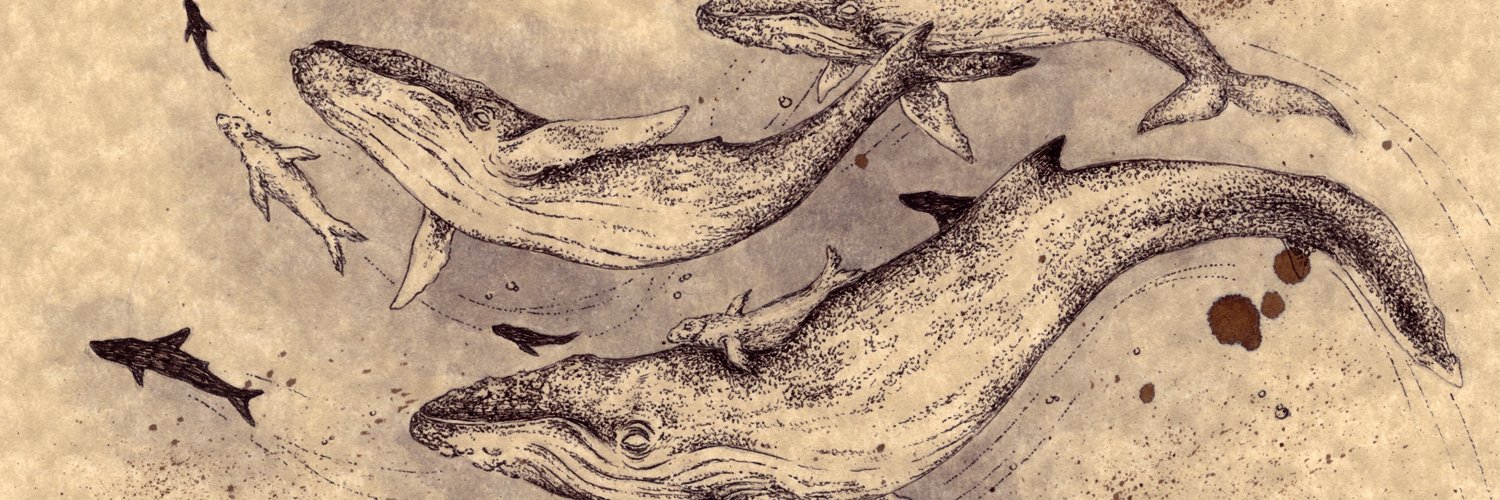 zellgarm's profile banner image