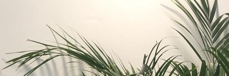 MalenaLarson's profile banner image