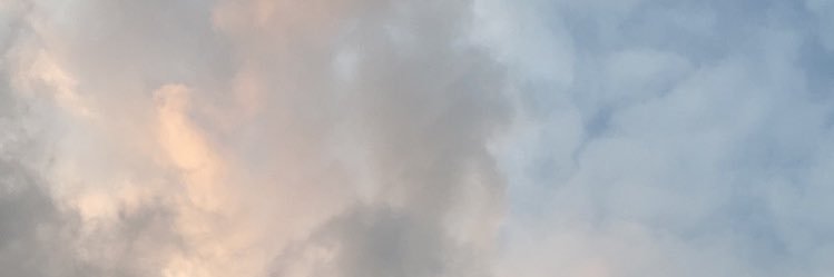 elvirent banner