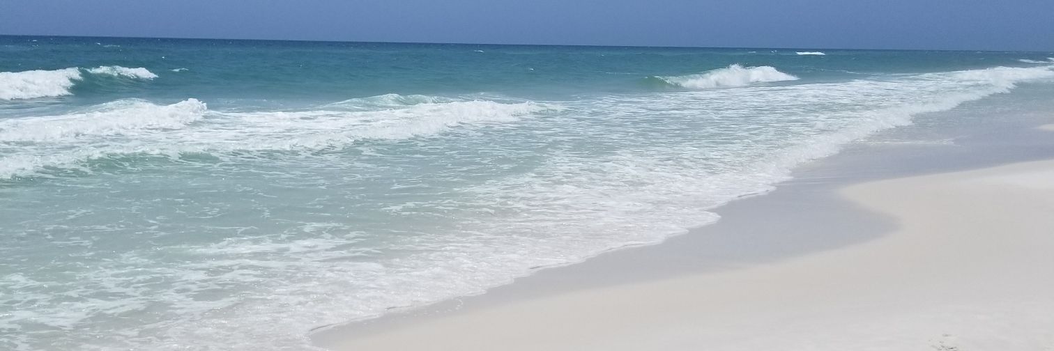 Hillary C. Wright-Kaufman banner