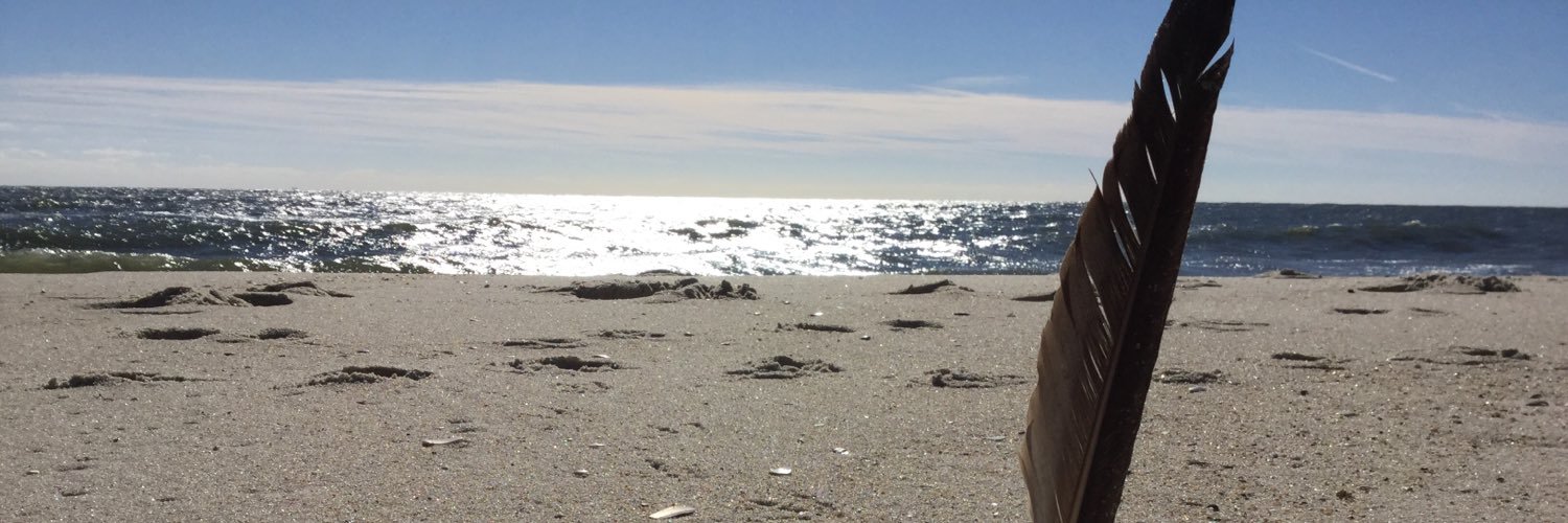 OBP Association banner