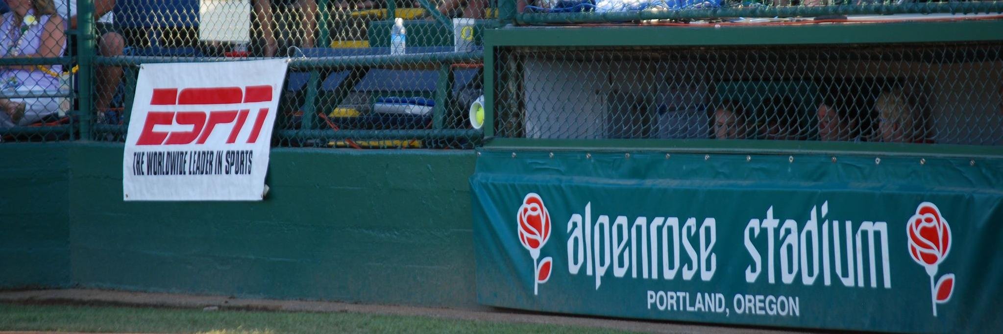 LLsoftball's profile banner image