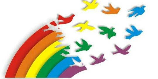sectorsolidario's profile banner image