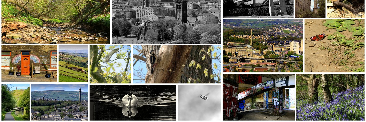 PointAndShootPhotos banner