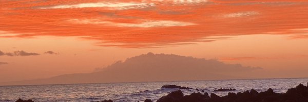 LicensedIP Profile Banner