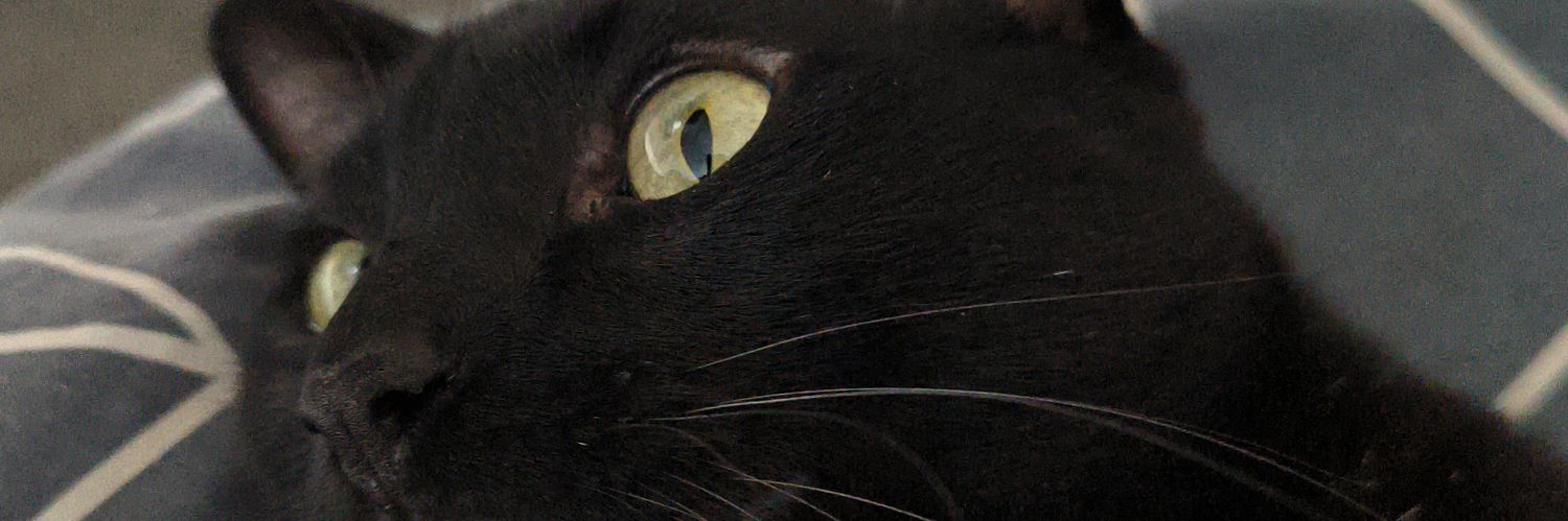 tawanlogi's profile banner image