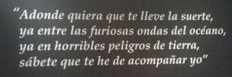 Carmen Sánchez-Risco banner