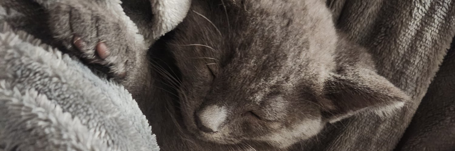 ChapisTrapQuing's profile banner image