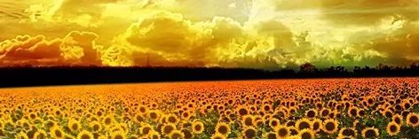 MikelMaresq's profile banner image