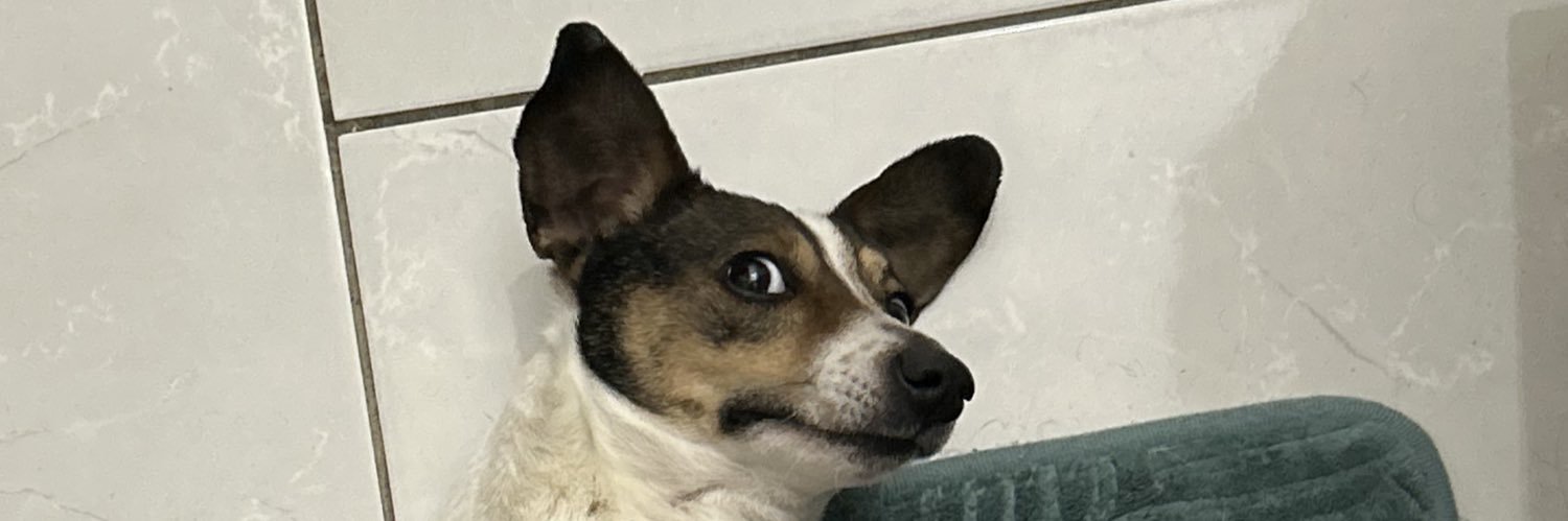 clothiiiildee's profile banner image