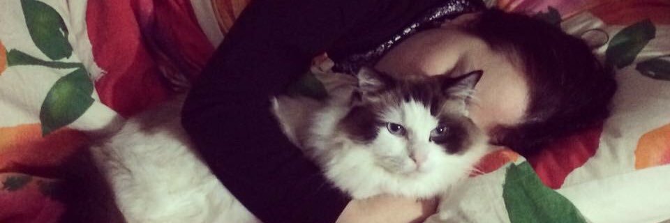 HedyBellNova's profile banner image