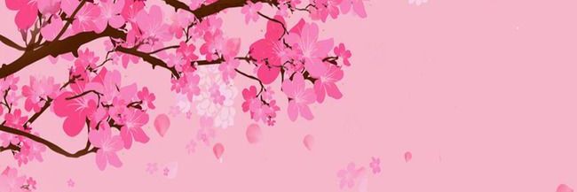 Jeni banner