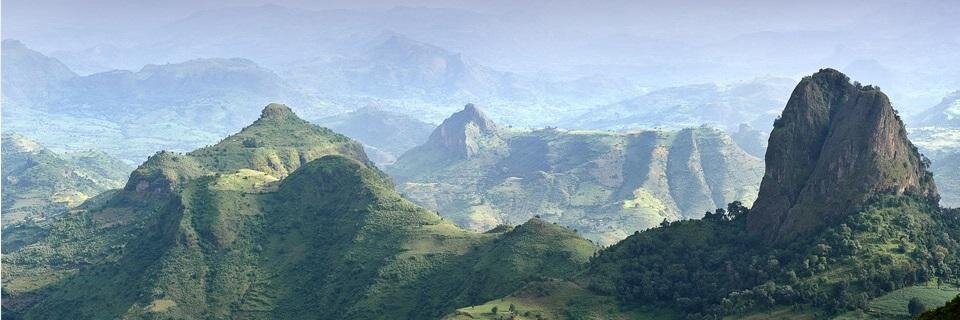 totmate's profile banner image