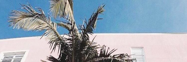 DueywL's profile banner image
