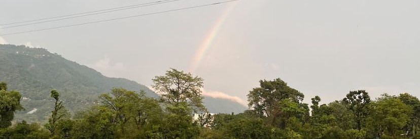 womperson's profile banner image