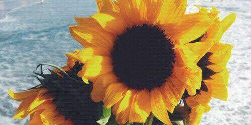 Tebogo_Mo's profile banner image
