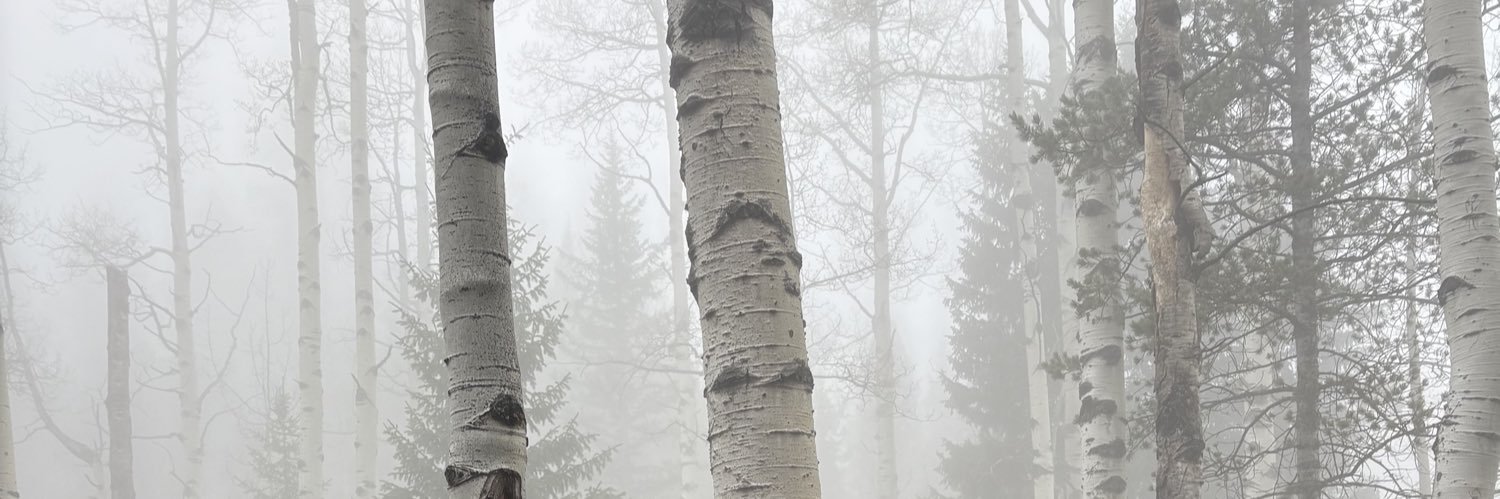 austindsnow's profile banner image