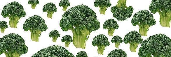 broccoli0724's profile banner image