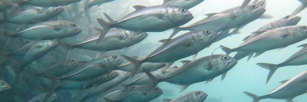 exploreGBR Profile Banner